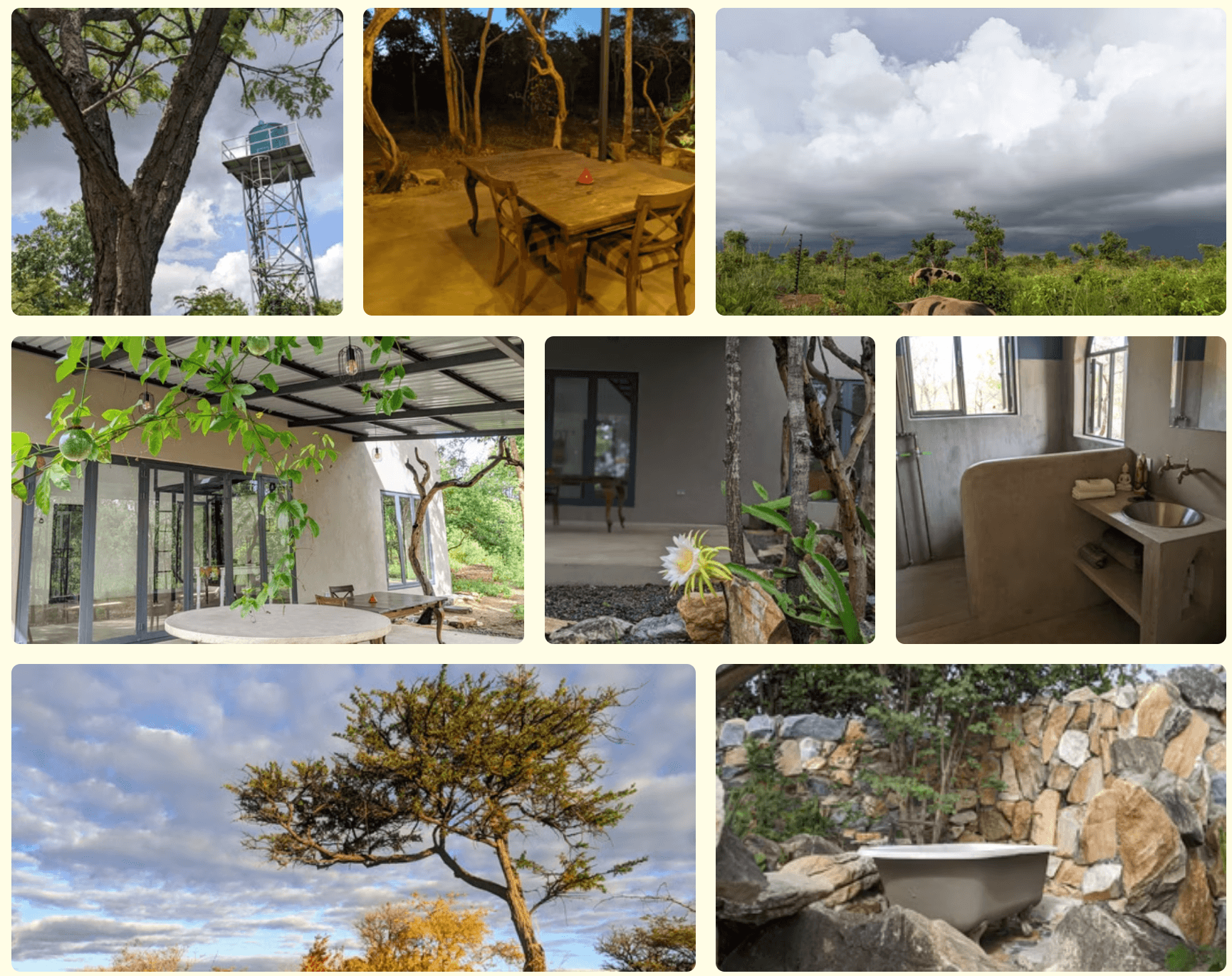 bubu ranch collage